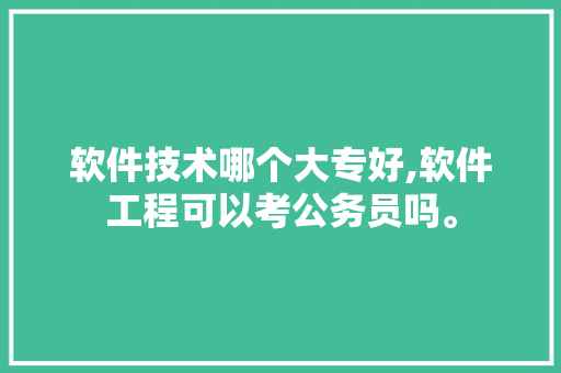 软件技术哪个大专好,软件工程可以考公务员吗。 软件技术