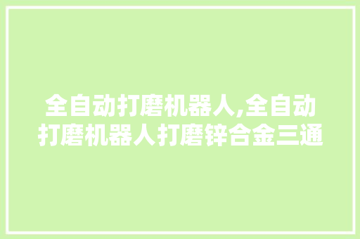 全自动打磨机器人,全自动打磨机器人打磨锌合金三通。 智能科技
