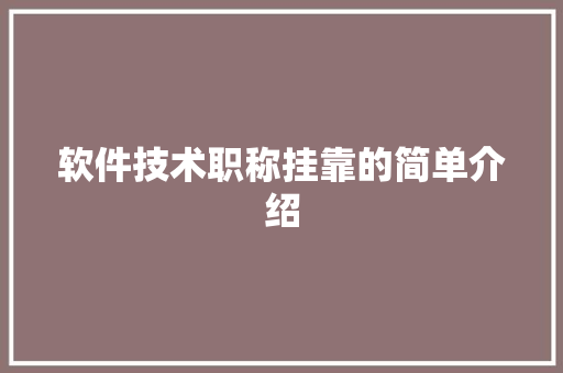 软件技术职称挂靠的简单介绍 软件技术