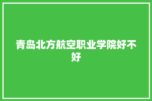 青岛北方航空职业学院好不好 人工智能