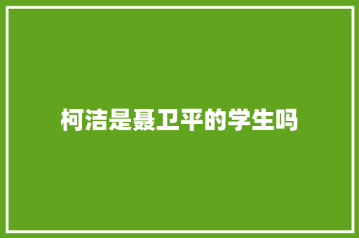 柯洁是聂卫平的学生吗 人工智能