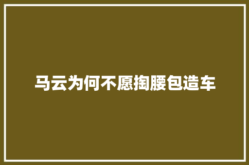 马云为何不愿掏腰包造车 人工智能