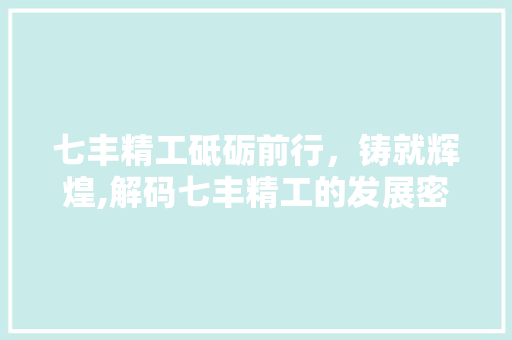 七丰精工砥砺前行，铸就辉煌,解码七丰精工的发展密码