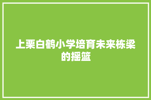 上栗白鹤小学培育未来栋梁的摇篮