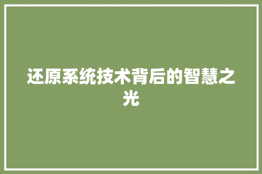还原系统技术背后的智慧之光