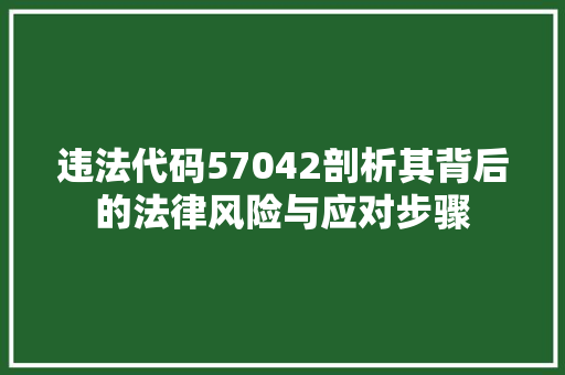 违法代码57042剖析其背后的法律风险与应对步骤