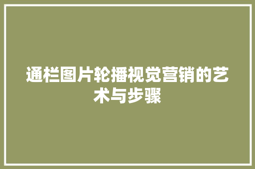 通栏图片轮播视觉营销的艺术与步骤