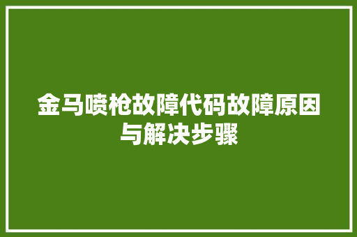 金马喷枪故障代码故障原因与解决步骤