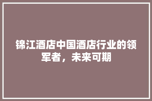 锦江酒店中国酒店行业的领军者，未来可期