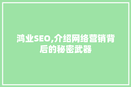 鸿业SEO,介绍网络营销背后的秘密武器