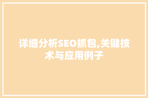 详细分析SEO抓包,关键技术与应用例子