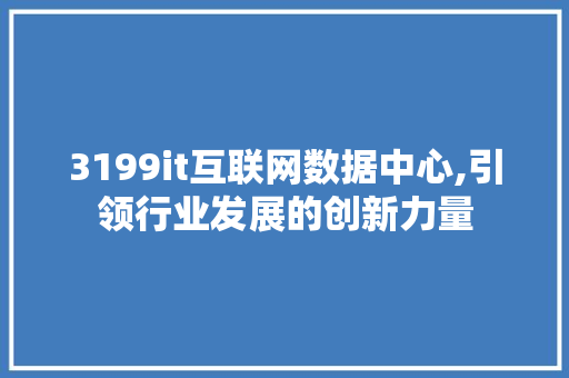 3199it互联网数据中心,引领行业发展的创新力量
