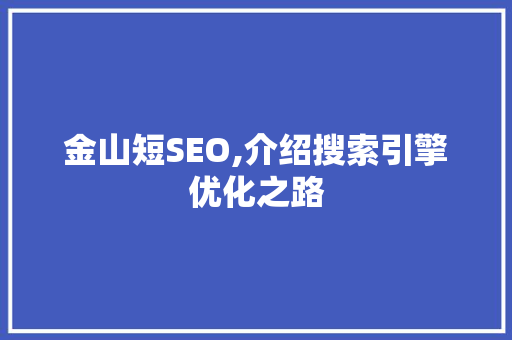 金山短SEO,介绍搜索引擎优化之路