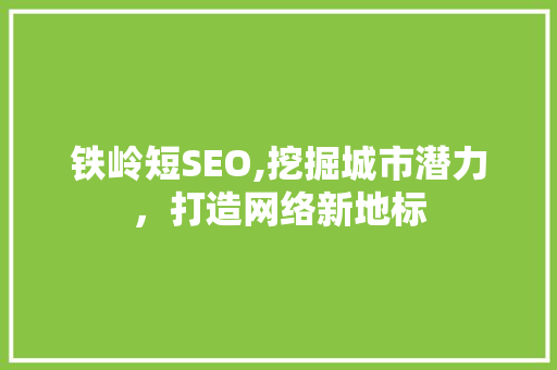 铁岭短SEO,挖掘城市潜力，打造网络新地标