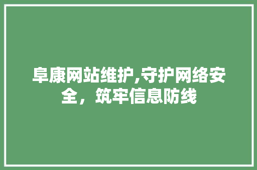 阜康网站维护,守护网络安全，筑牢信息防线