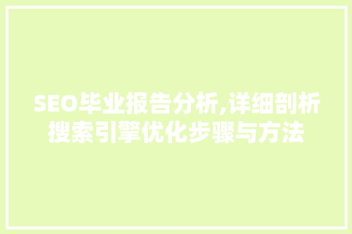 SEO毕业报告分析,详细剖析搜索引擎优化步骤与方法