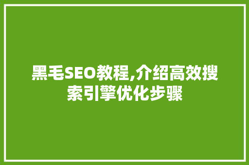 黑毛SEO教程,介绍高效搜索引擎优化步骤