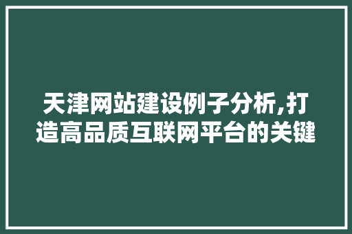 天津网站建设例子分析,打造高品质互联网平台的关键要素