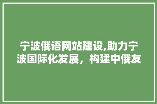 宁波俄语网站建设,助力宁波国际化发展，构建中俄友谊桥梁