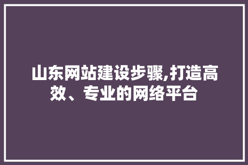 山东网站建设步骤,打造高效、专业的网络平台