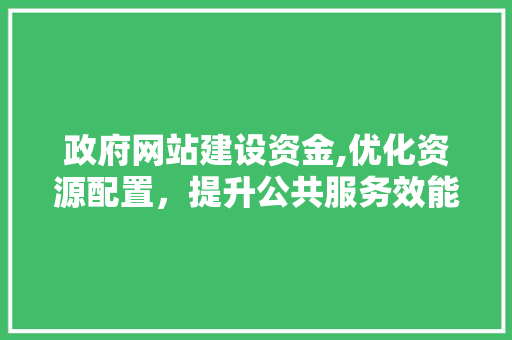 政府网站建设资金,优化资源配置，提升公共服务效能