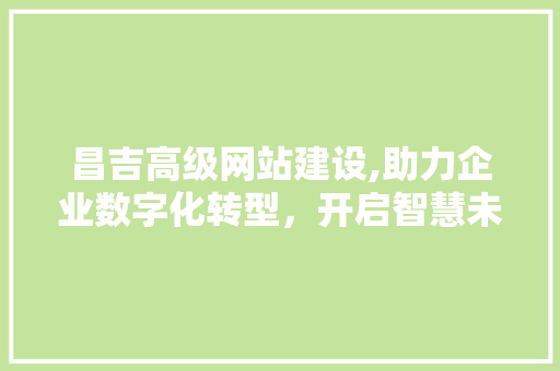 昌吉高级网站建设,助力企业数字化转型，开启智慧未来