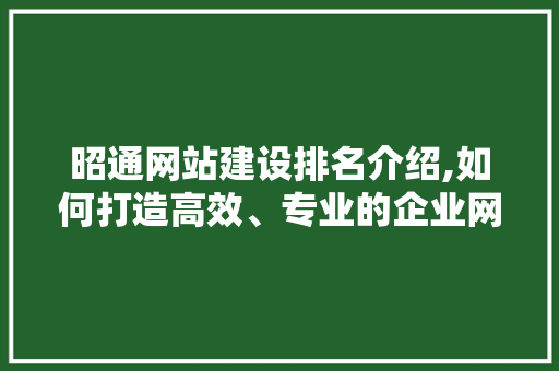 昭通网站建设排名介绍,如何打造高效、专业的企业网站