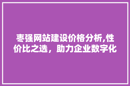 枣强网站建设价格分析,性价比之选，助力企业数字化转型