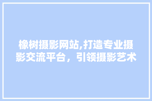 橡树摄影网站,打造专业摄影交流平台，引领摄影艺术新风尚