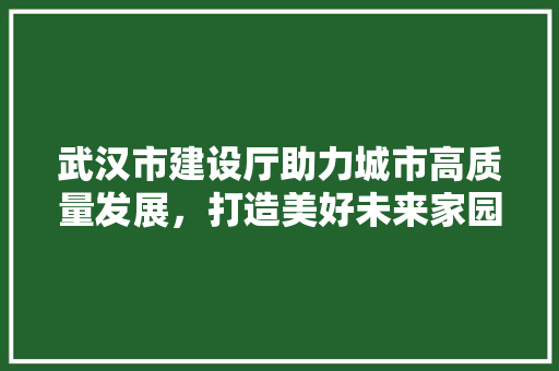 武汉市建设厅助力城市高质量发展，打造美好未来家园
