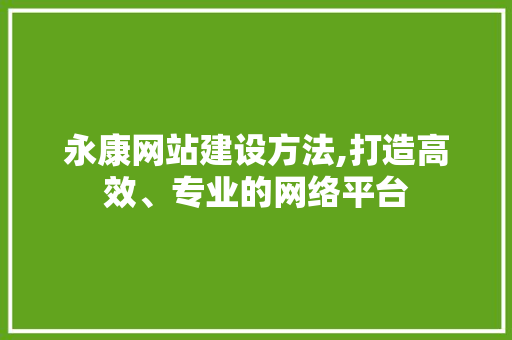 永康网站建设方法,打造高效、专业的网络平台
