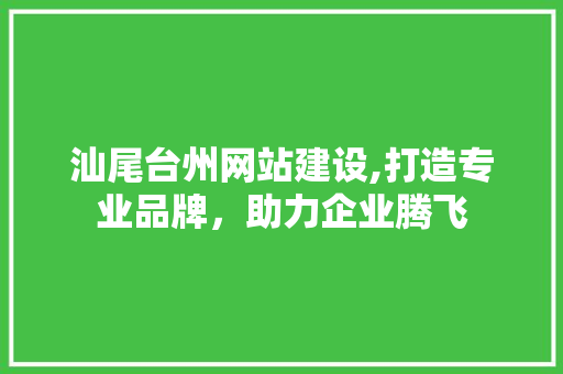 汕尾台州网站建设,打造专业品牌，助力企业腾飞