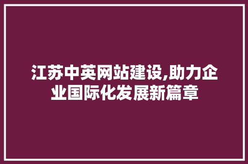 江苏中英网站建设,助力企业国际化发展新篇章