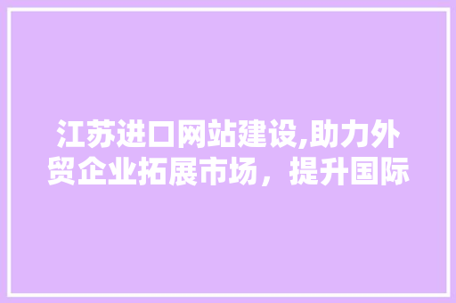 江苏进口网站建设,助力外贸企业拓展市场，提升国际竞争力