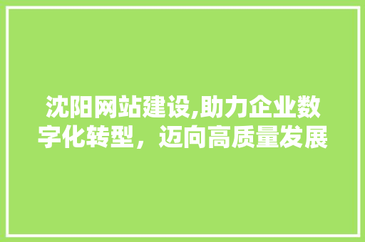 沈阳网站建设,助力企业数字化转型，迈向高质量发展