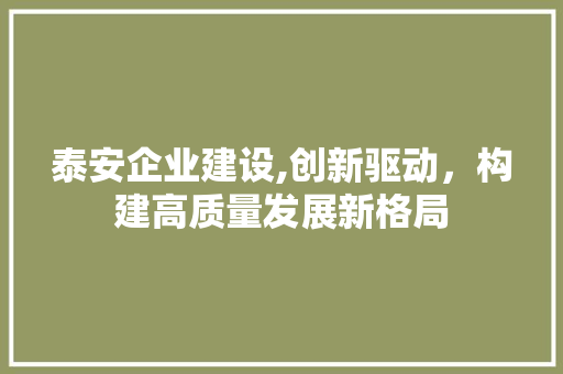 泰安企业建设,创新驱动，构建高质量发展新格局
