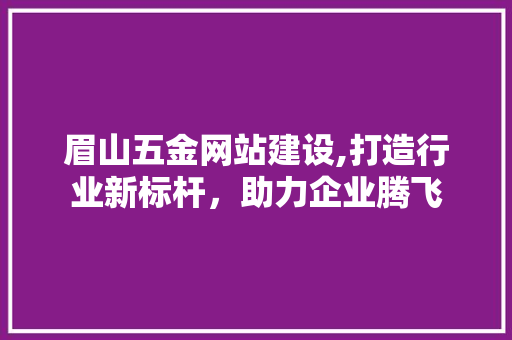 眉山五金网站建设,打造行业新标杆，助力企业腾飞