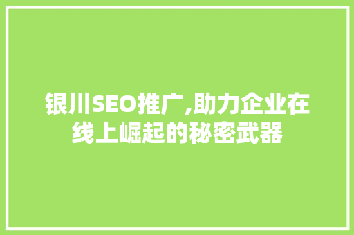 银川SEO推广,助力企业在线上崛起的秘密武器