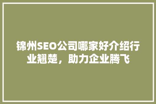 锦州SEO公司哪家好介绍行业翘楚，助力企业腾飞