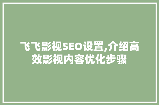 飞飞影视SEO设置,介绍高效影视内容优化步骤