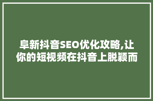 阜新抖音SEO优化攻略,让你的短视频在抖音上脱颖而出