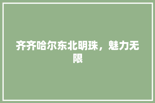 齐齐哈尔东北明珠，魅力无限