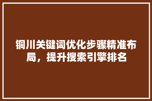 铜川关键词优化步骤精准布局，提升搜索引擎排名