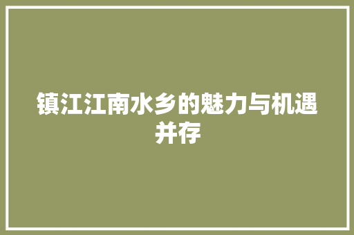 镇江江南水乡的魅力与机遇并存
